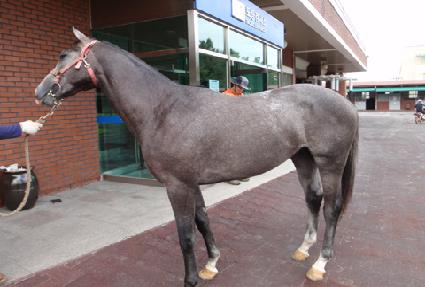 ���� ����