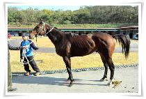 ���߸��� (GAYA MYEONGJANG) ����