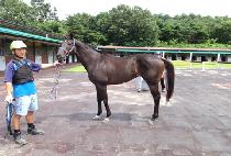 �Ž��̵����Ƽ (MASS MEDIA��S TEA) ����