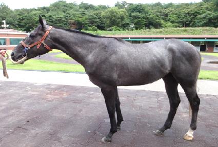 ������ ����