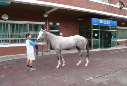 �ڸ��Ⱥ�Ʈ ����