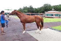 �����귿������ (CELEBRATE TONIGHT) ����