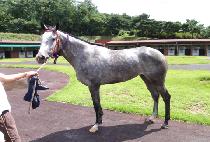 ���̺������ (SAVE THE DAY) ����