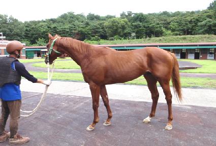 �ο����� ����