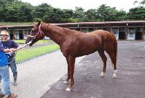 ���ù̷����� (WISH ME ROSES) ����