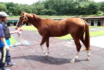 ���鿬�� (OBAEGYEONSEUNG) ����