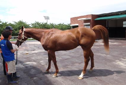 ����Ƽ�ι��� ����