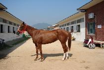 Ȧ������ (HALL OF FORM) ����