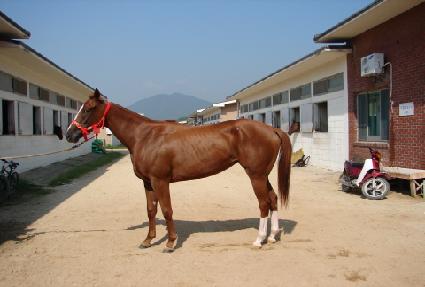 Ȧ������ ����