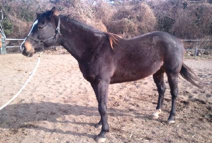 �ο��� ����