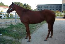 �������� (JEONGUK MUSSANG) ����