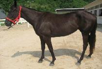 ����Ŀ���ִ� (TAKER TO ANNIE) ����