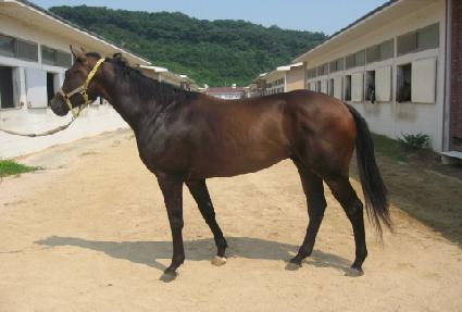 �����س� ����