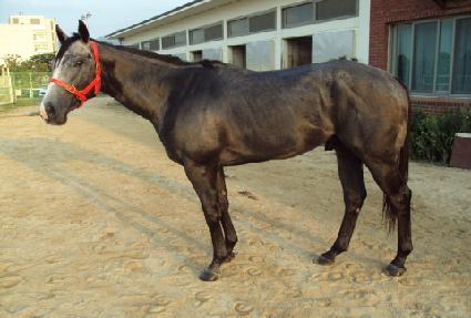 �׷����� ����