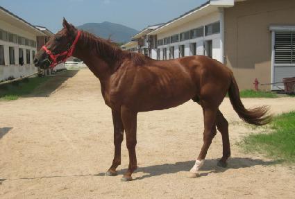 ���Ǽ��� ����