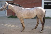 ������ (DEPEND ON) ����