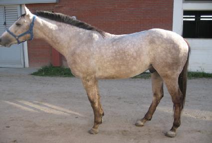 ������ ����