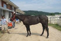 ������������ (MUJEOKUI FIGHTER) ����