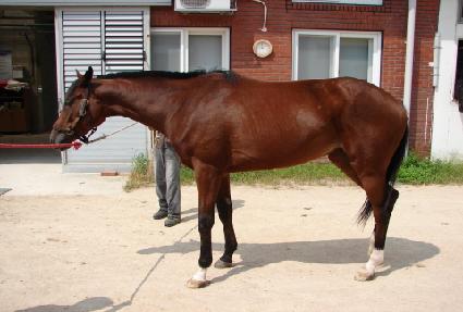 ��Ŀ���� ����