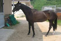 �߿����� (JUNGWON JEONSEOL) ����