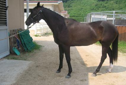 �߿����� ����