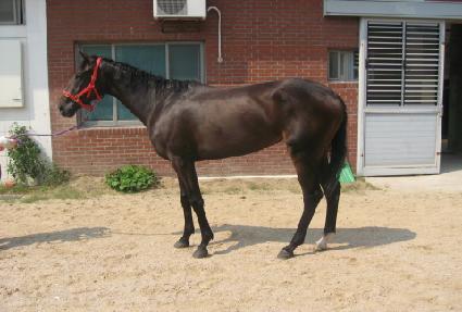 ����Ʈž�� ����