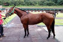 �÷θ����Ǻ� (FLORIDAUI BYEOL) ����