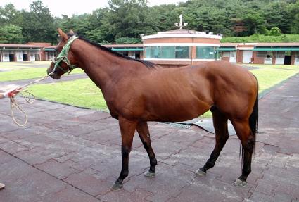 ������� ����