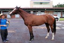 ������ (JISANGGUNJU) ����