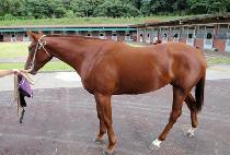 �ݾƻ�� (GEUMASARANG) ����