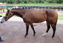 �ݾ�Ư�� (GEUMATEUKGEUP) ����