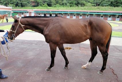 �ݾ�Ư�� ����