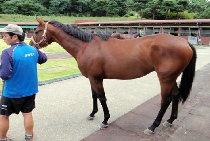 �շ���ȣ ����