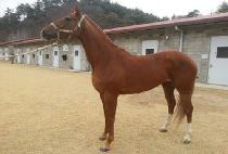 DEHERE QUEEN picture