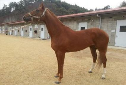 �������� ����