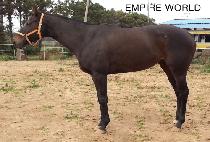 EMPIRE WORLD picture