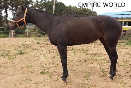 �����̾���� ����