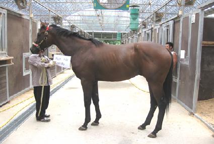 ����ĵ�� ����