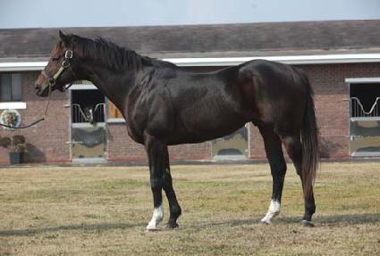 ���Ǽ� ����