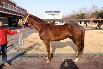 �׸��� (GREENVILLE) ����