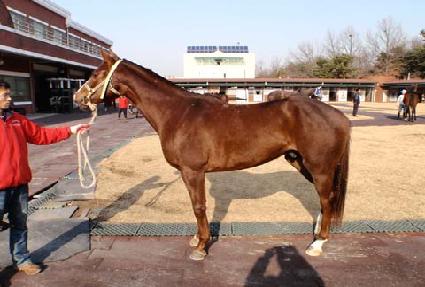 �׸��� ����