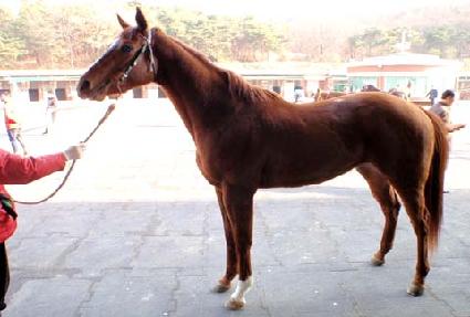 ���͸޸��� ����