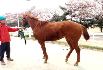 �۽�Ʈ��Ʈ�� ����