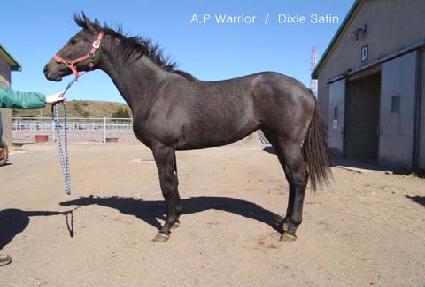 ���Ŀ� ����