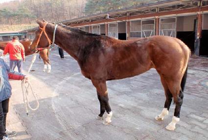 ��õ���� ����