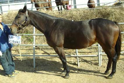 ��Ű��Ű ����