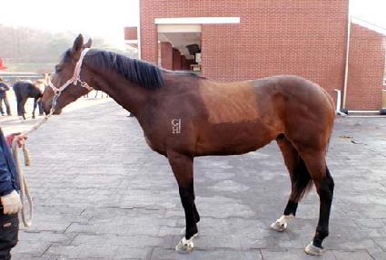 �ɷ¸��� ����