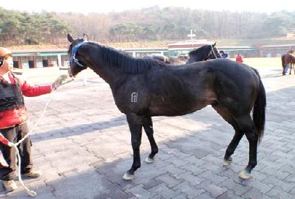 ������ħ ����