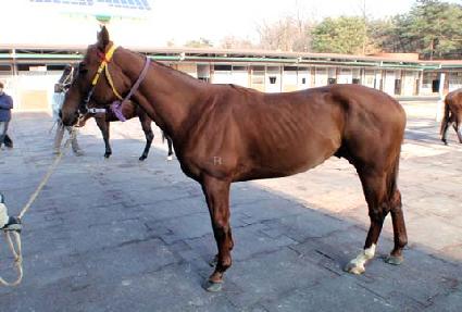 ū��� ����