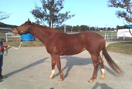 ��������� ����